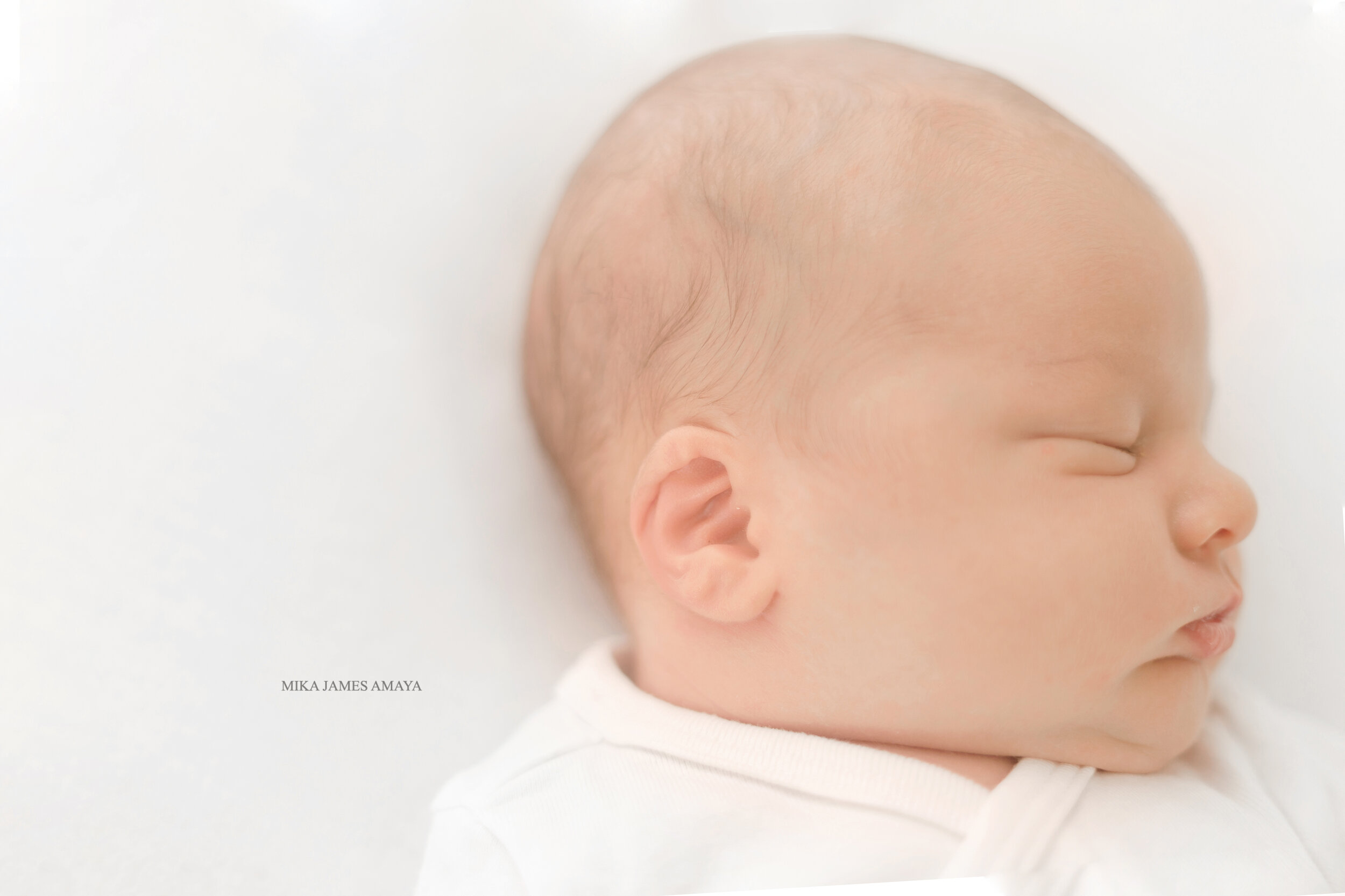 top raleigh newborn photographer