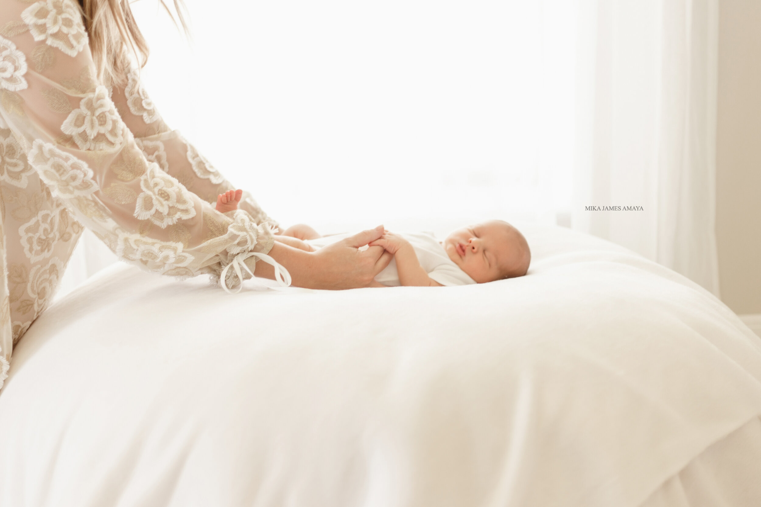 top raleigh newborn photographer