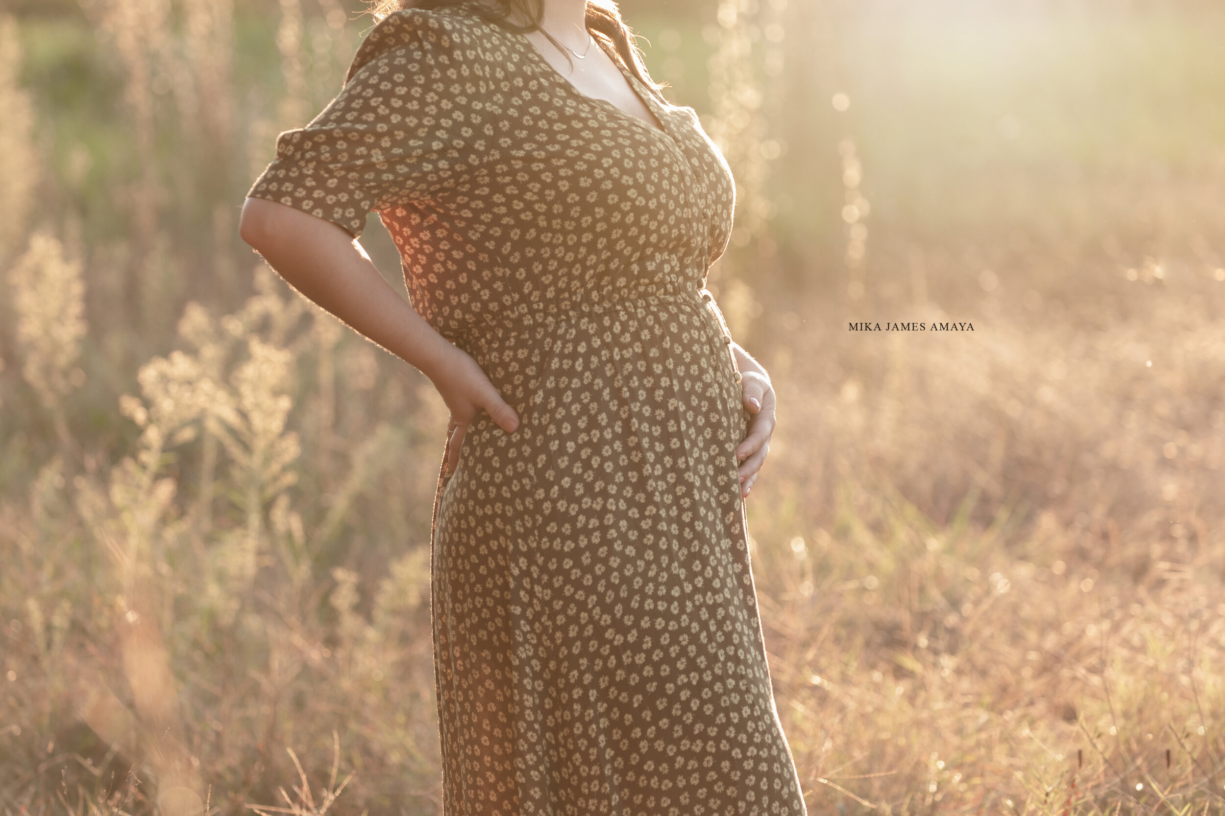 raleigh maternity portraits / raleigh, durham, chape hill pregnancy announcement ideas