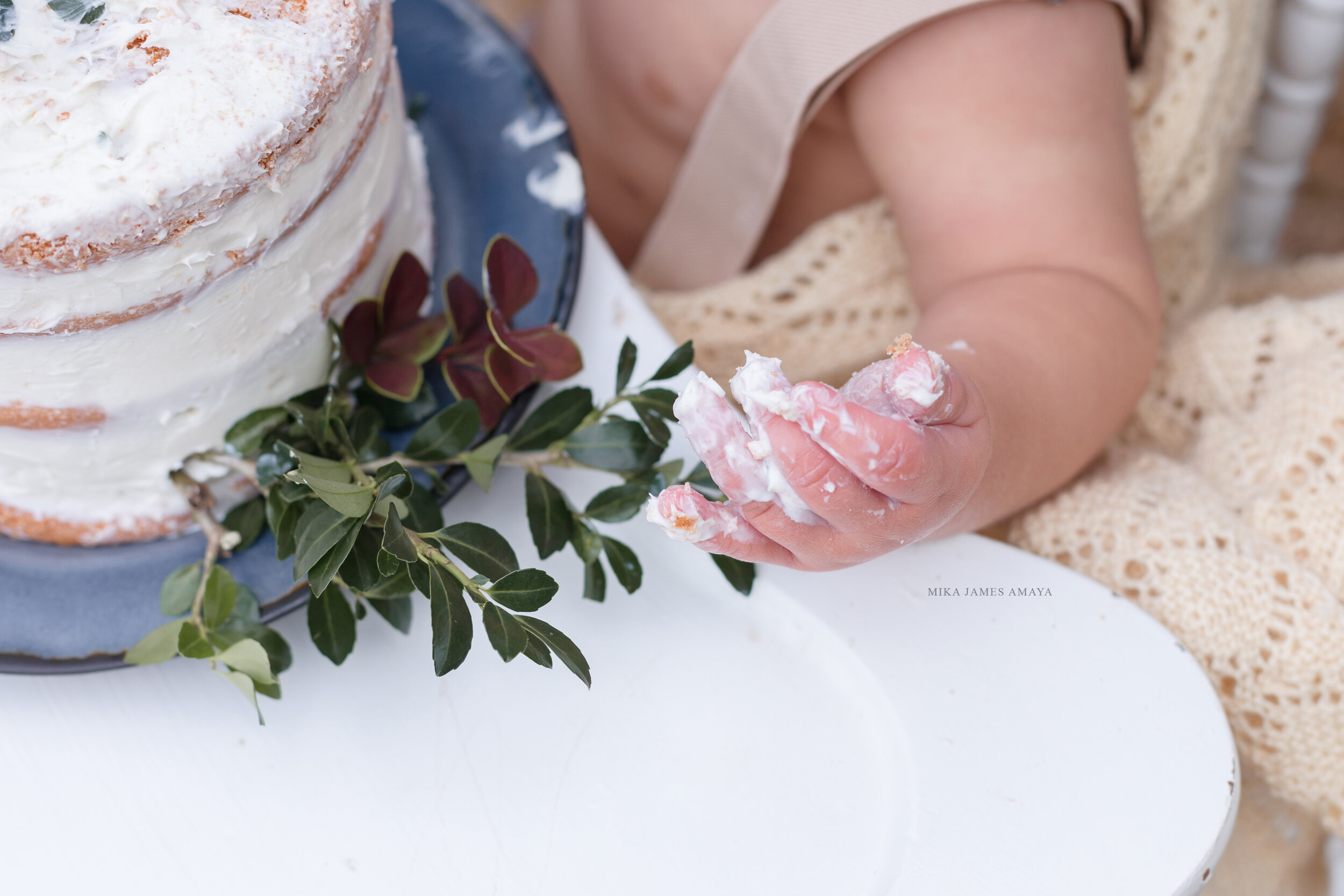 raleigh cake smash photos of a little boy / outdoor cake smash in raleigh