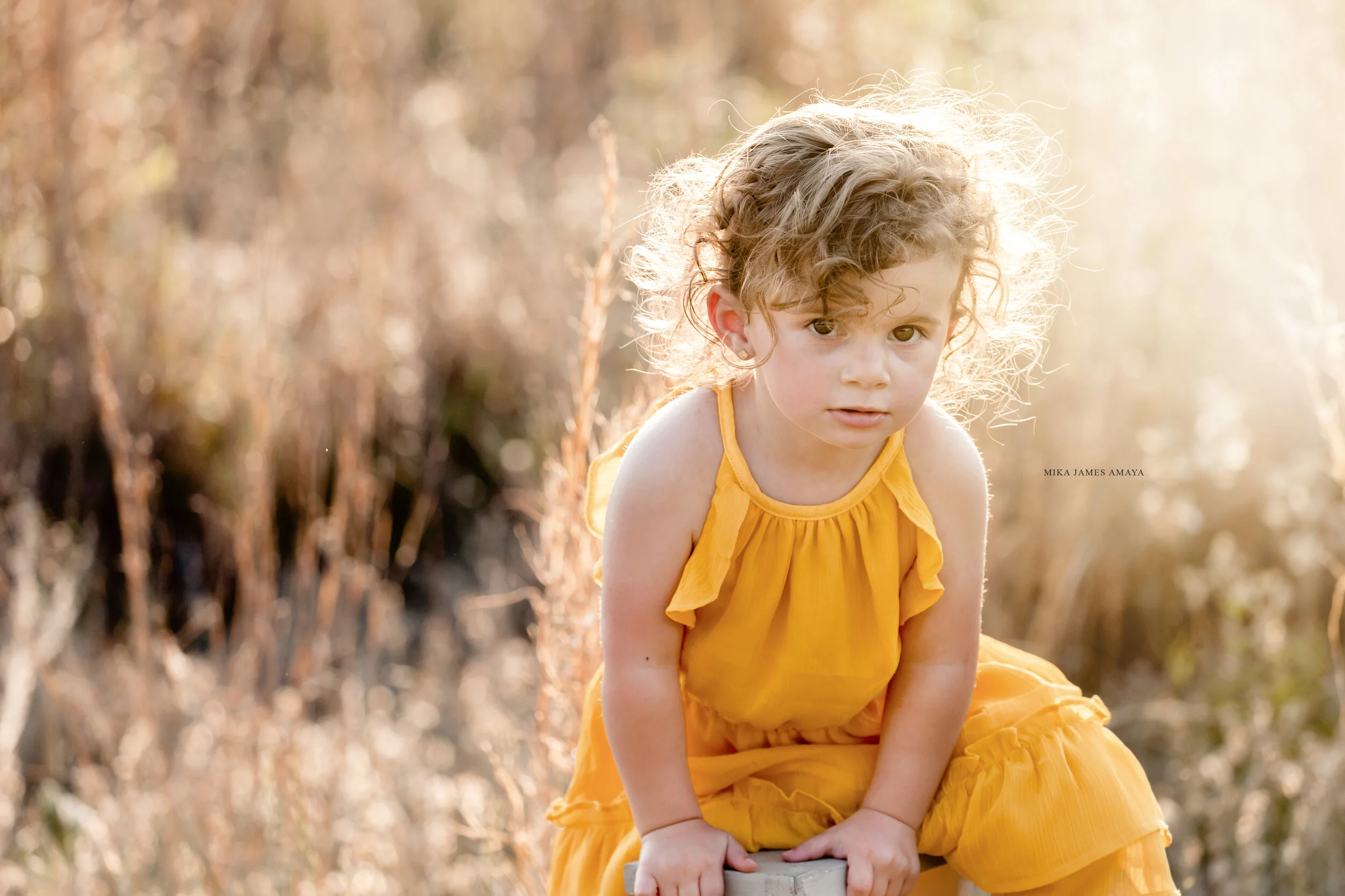 Family Photographer Near Me Raleigh, NC Mika James Amaya Photography