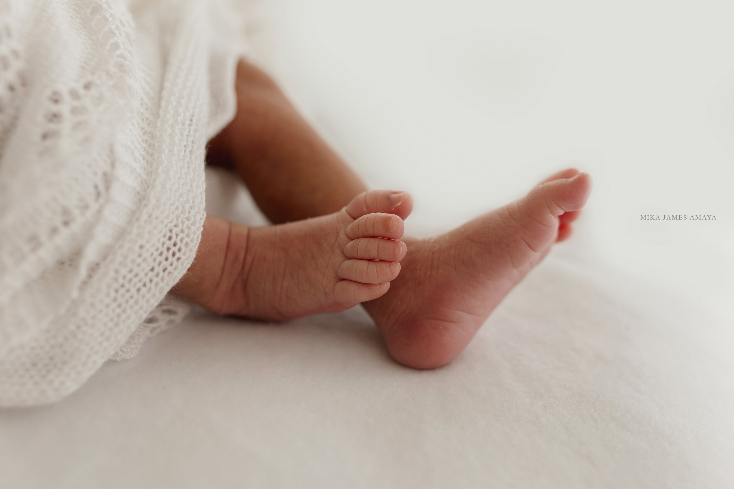 cary in home newborn photography