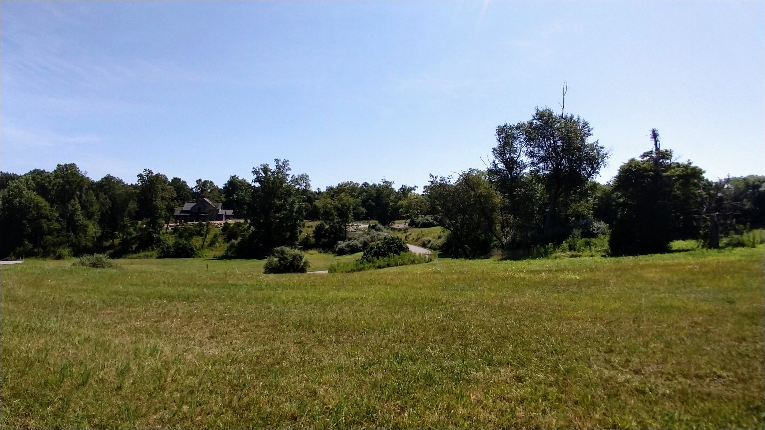 Overlook from Lot #4