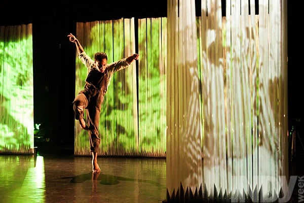 CANE (2013)