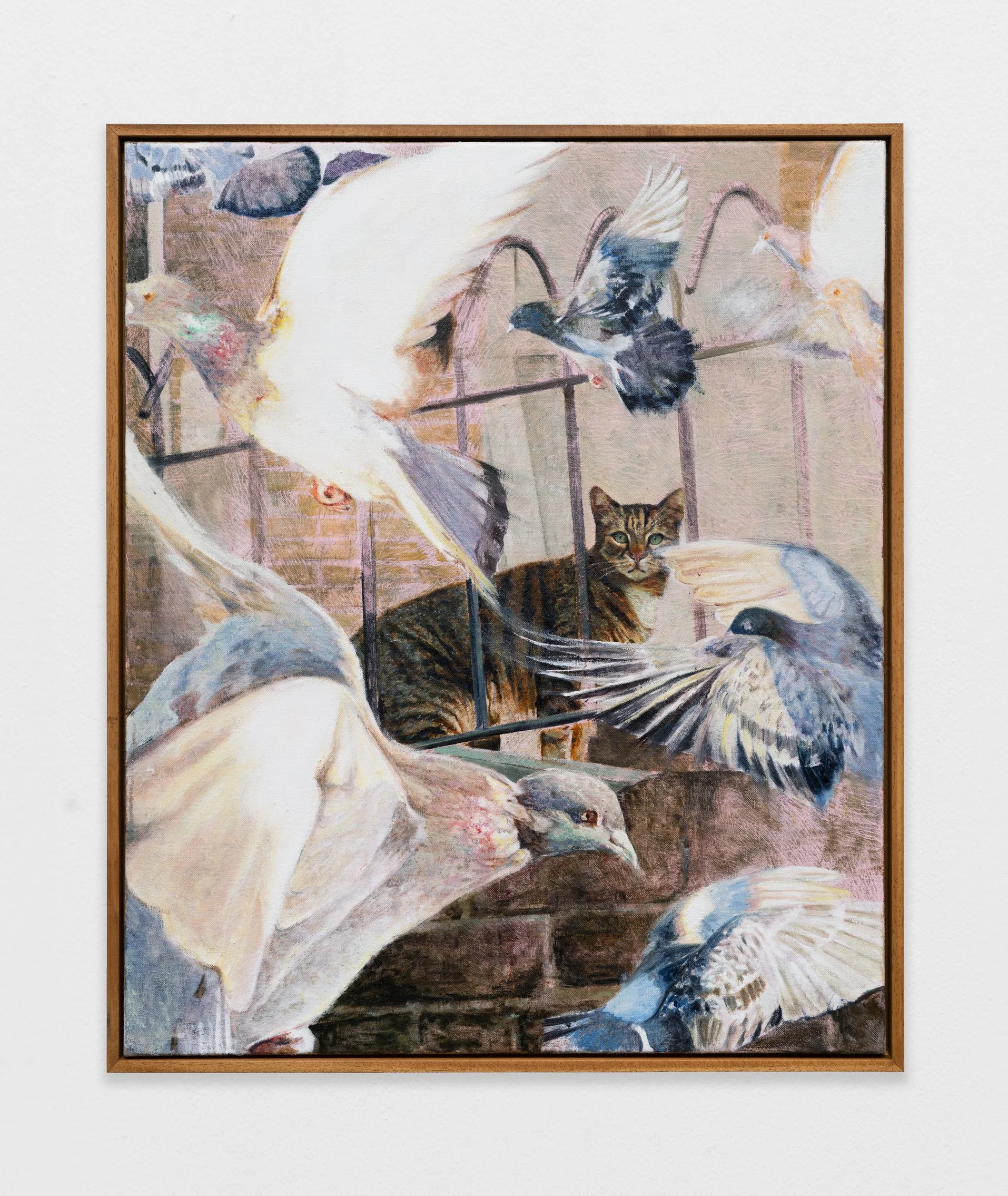 A Cat Amongst the Pigeons