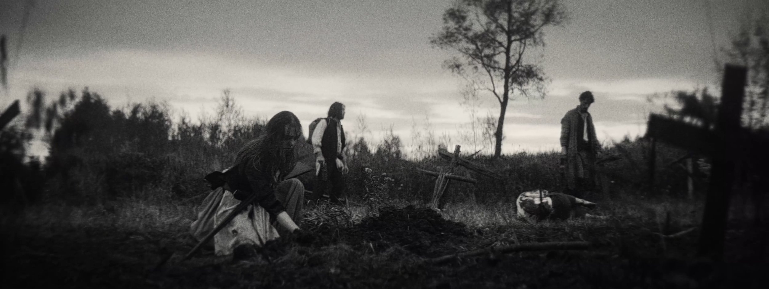 VS--Vimeo-ASongforWilliamBird-10’52”.jpg