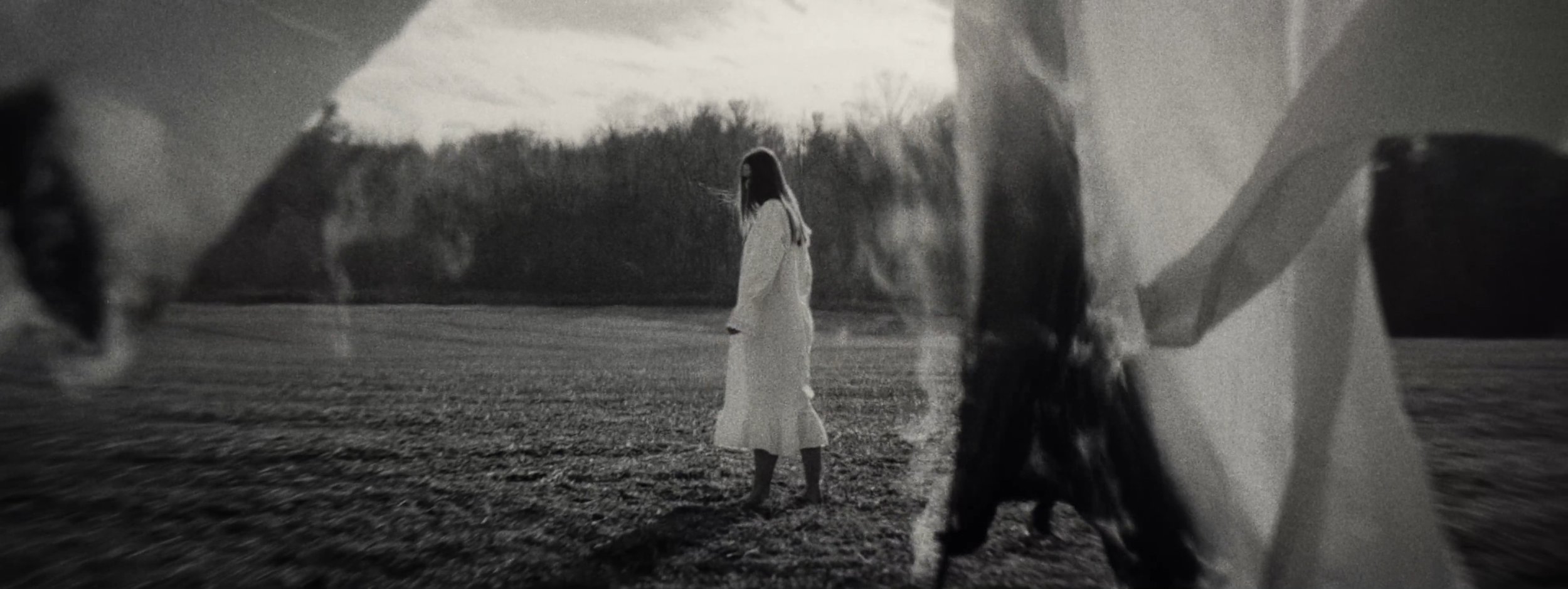 VS--Vimeo-ASongforWilliamBird-15’23”.jpg