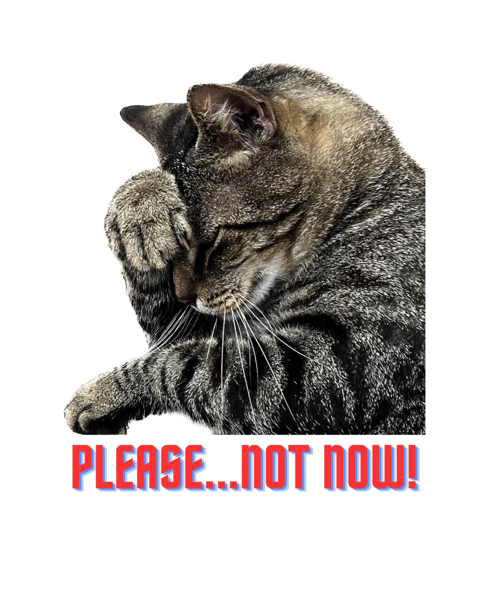 26CBEDD7-240D-40EB-B96E-3D8BB0E52101