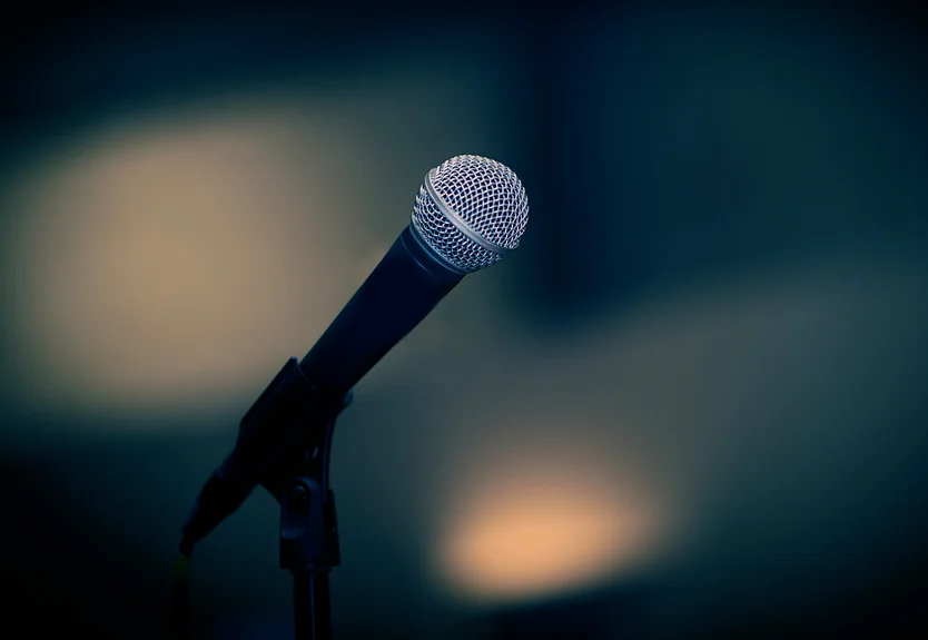 Black and silver microphone