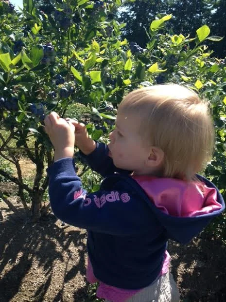  Kallan's first time picking