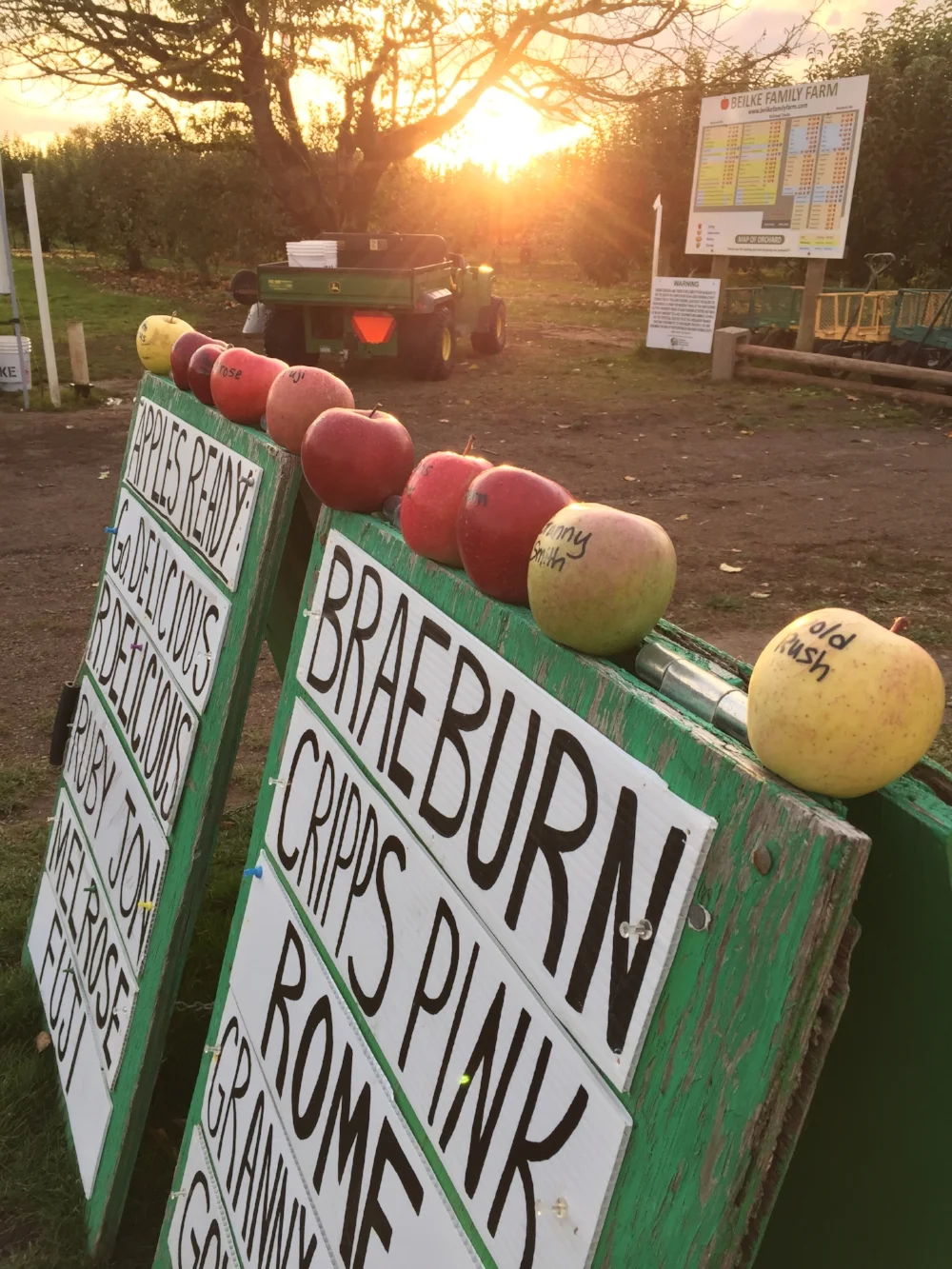 Rome and Cripps Pink (aka Pink Lady) are Ready! — Beilke Family Farm