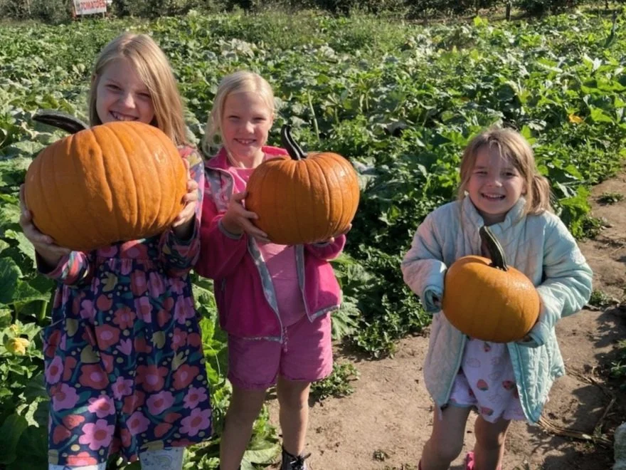 Single Ripe Apple Pumpkin Patch is Open! โ Beilke Family Farm