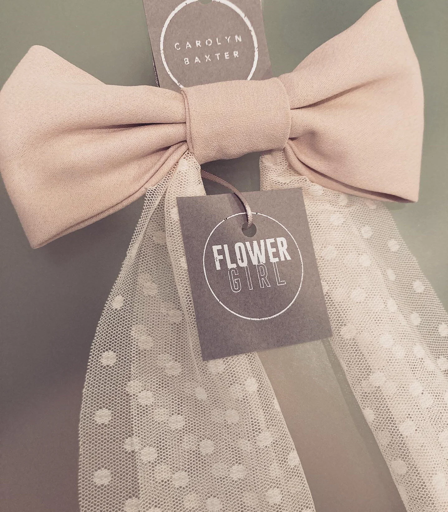 FE3CAD5C-E749-486A-B49D-1D65805A36CD