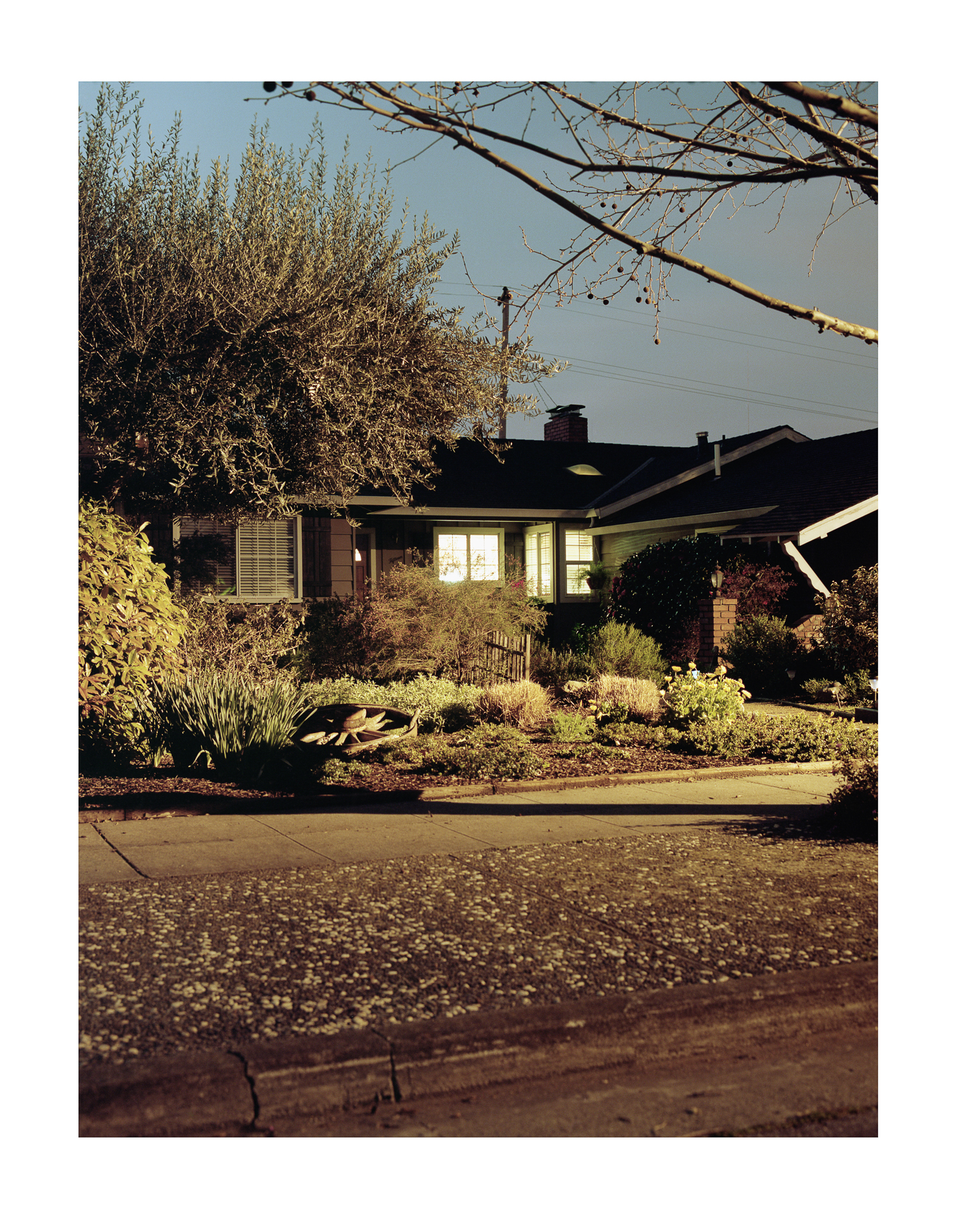 PG_10.jpg