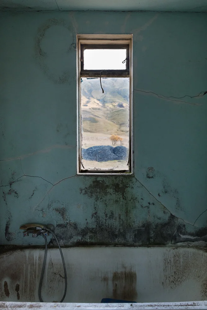 windows-2.jpg