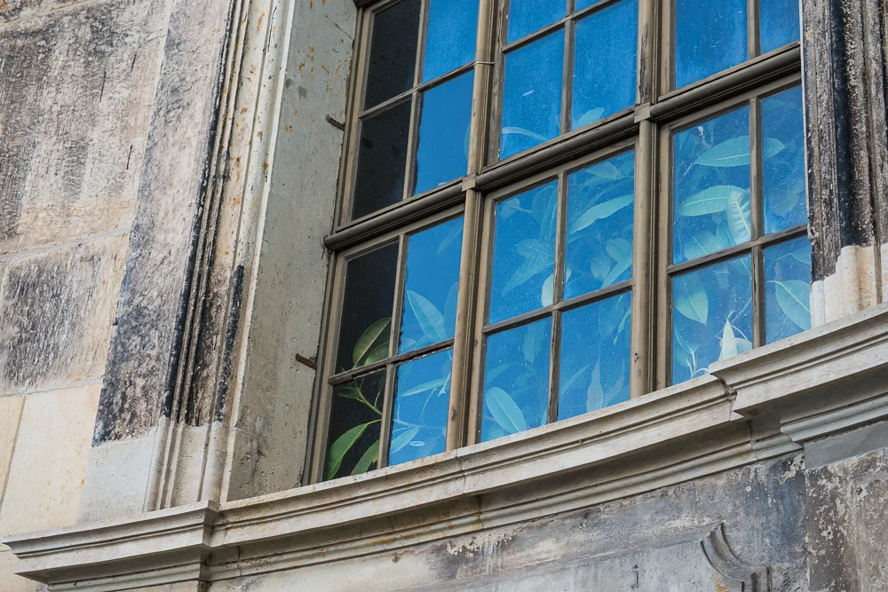 windows-8.jpg