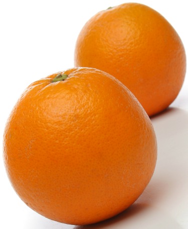 orangesSmall.jpg