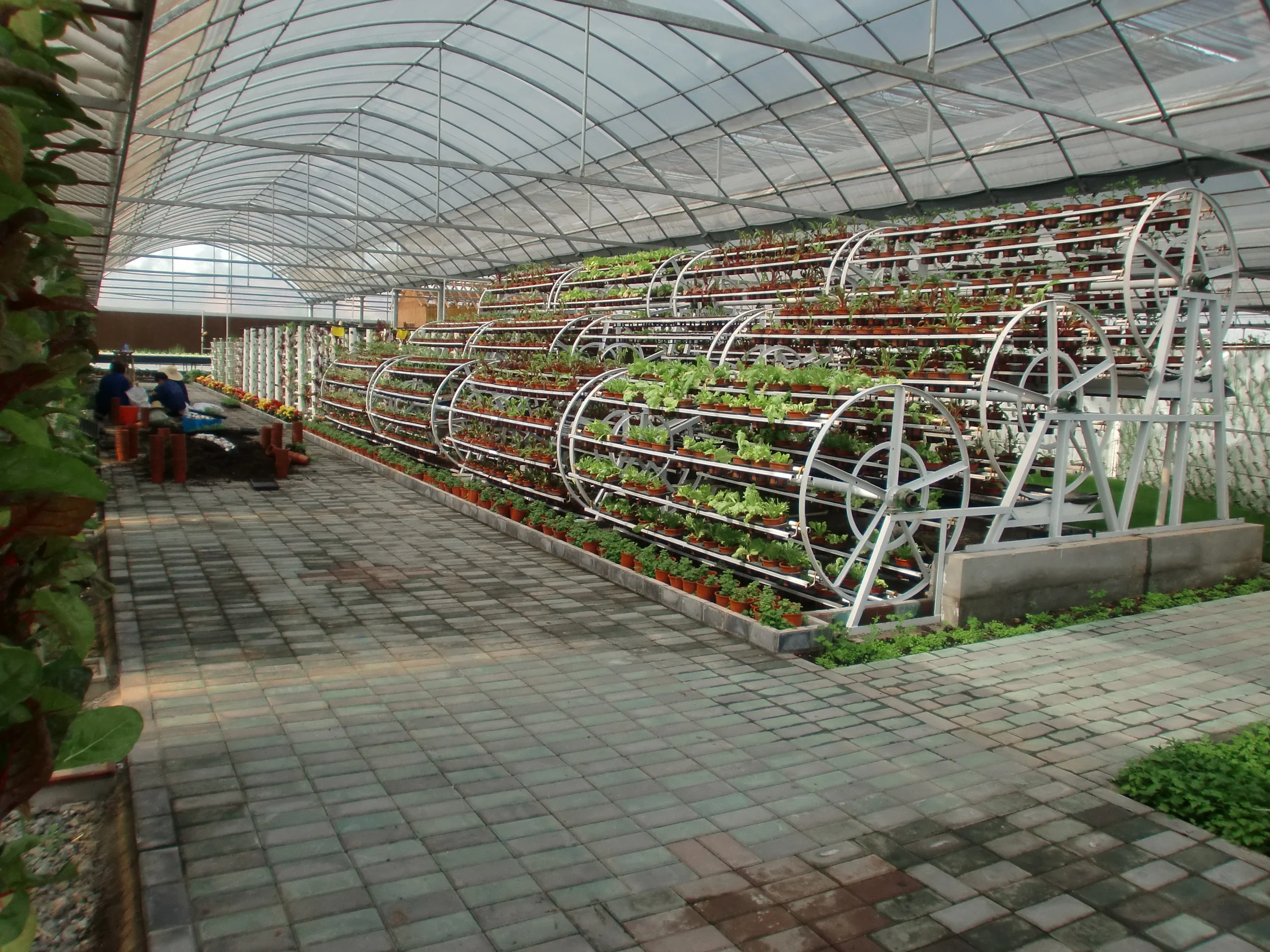 Hydroponic Ferris Wheels!
