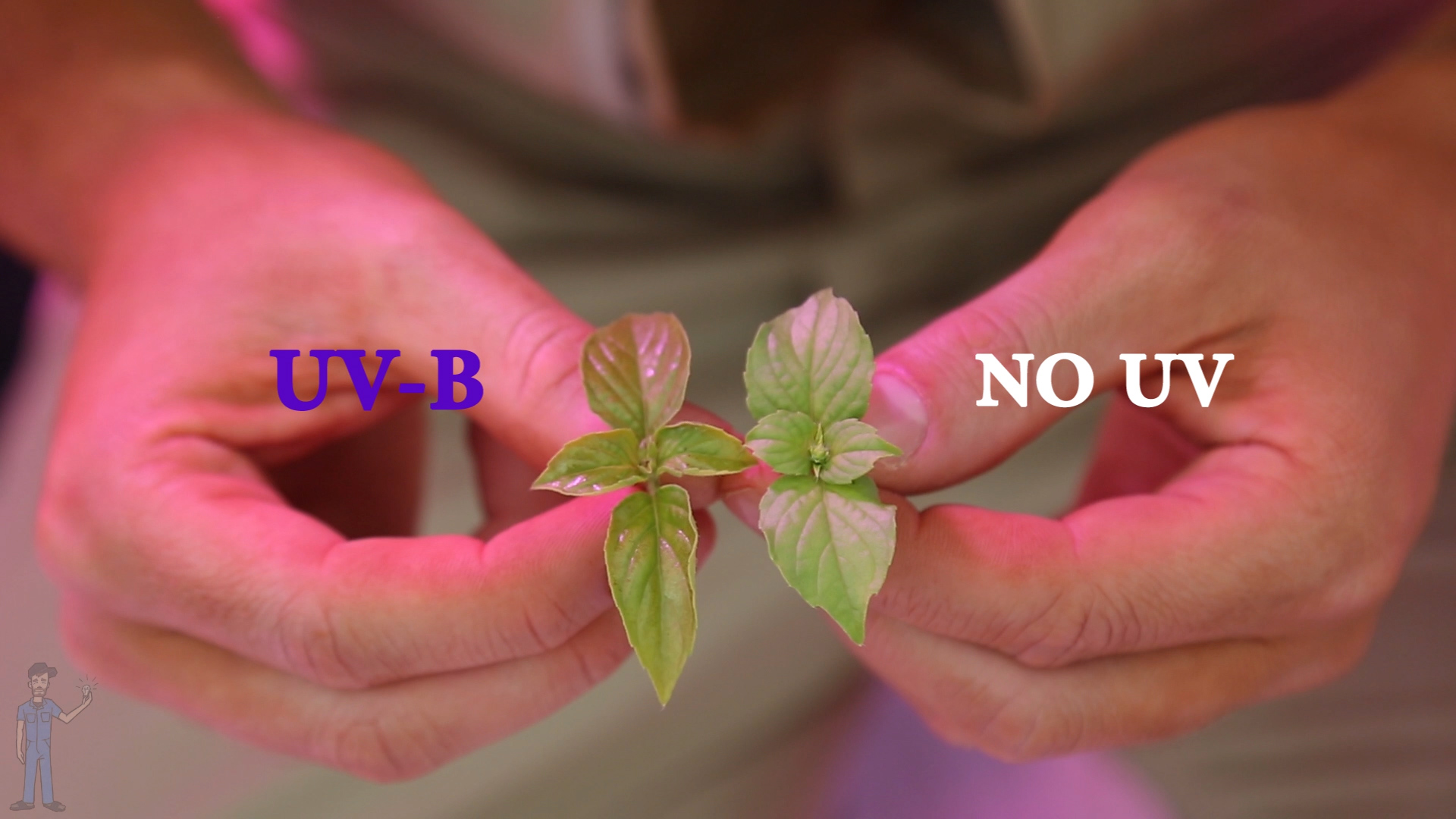 3. uv-b and no uv side by side.jpg