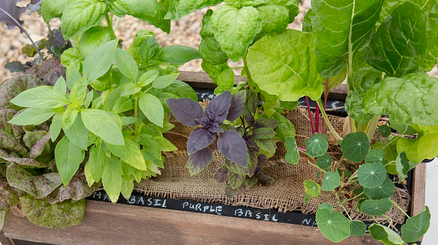 Burlap &amp; Chalk. Can&rsquo;t spell DIY without B&amp;C, unless you like spelling correctly #DIBCY #diyhydroponicgardensbook #wickingbed