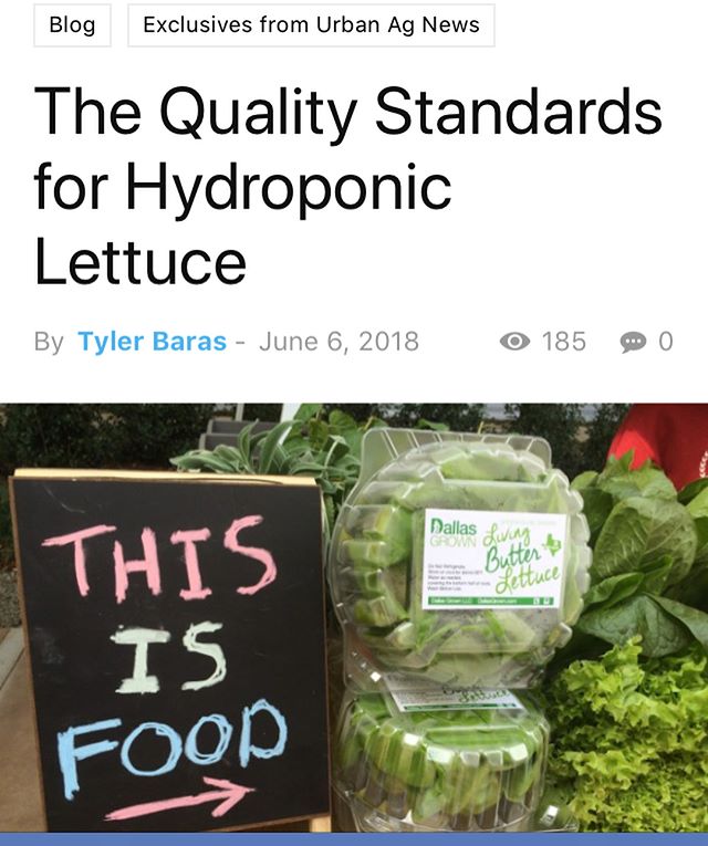 Better get that Butter right! Check out my new post on Urban Ag News about the &ldquo;Quality Standards&rdquo; for hydroponic lettuce... #moreprolessbro #topshelf #commercialhydroponics #hydroponiclettuce