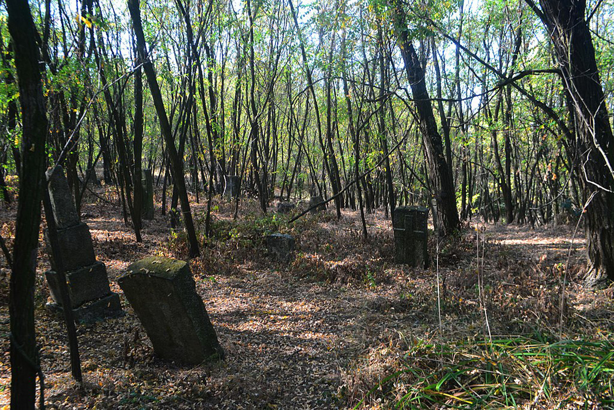 Старе кладовище в с.Трахтемирів.jpg