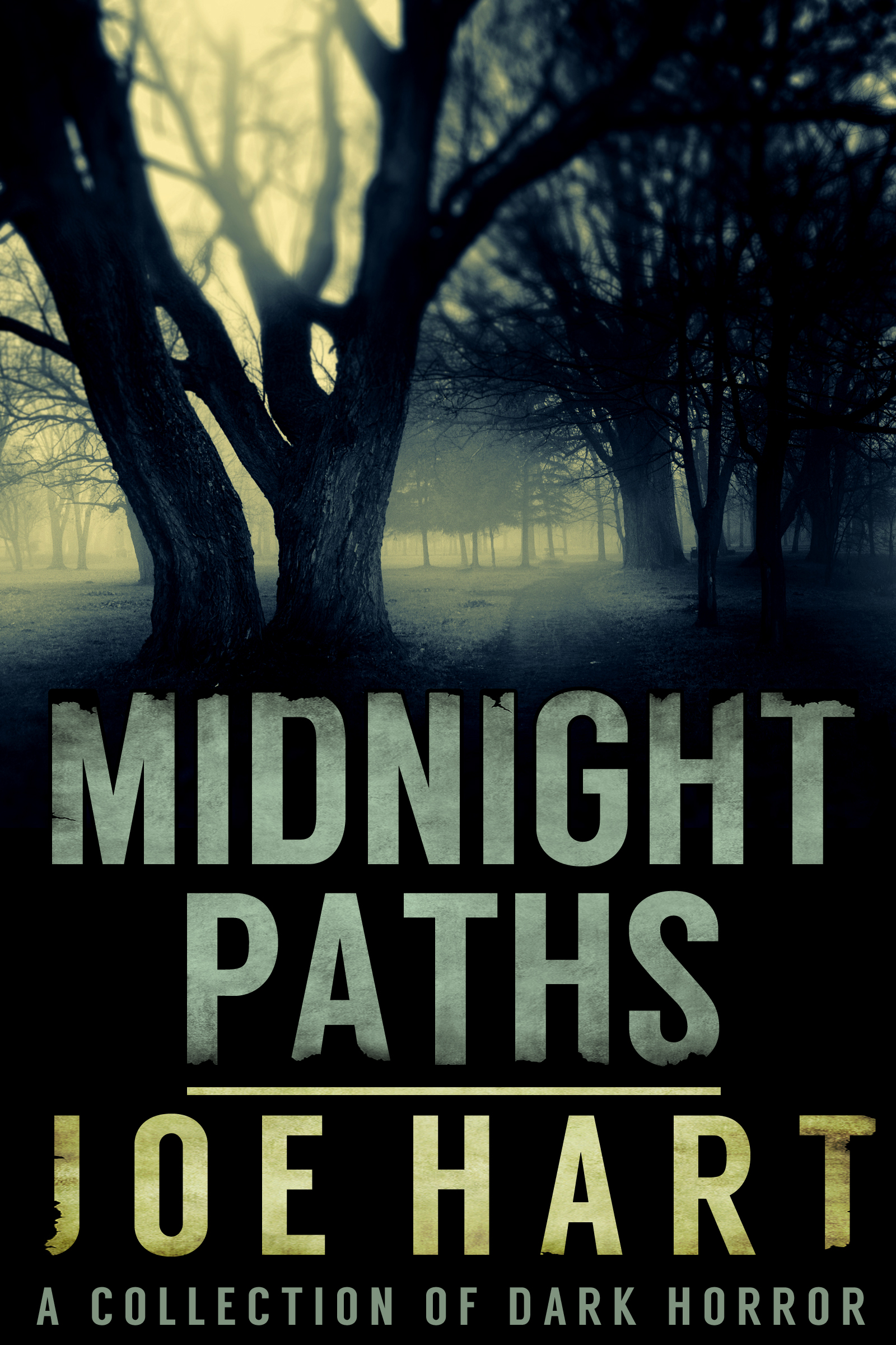 Midnight_Paths2-1.jpg