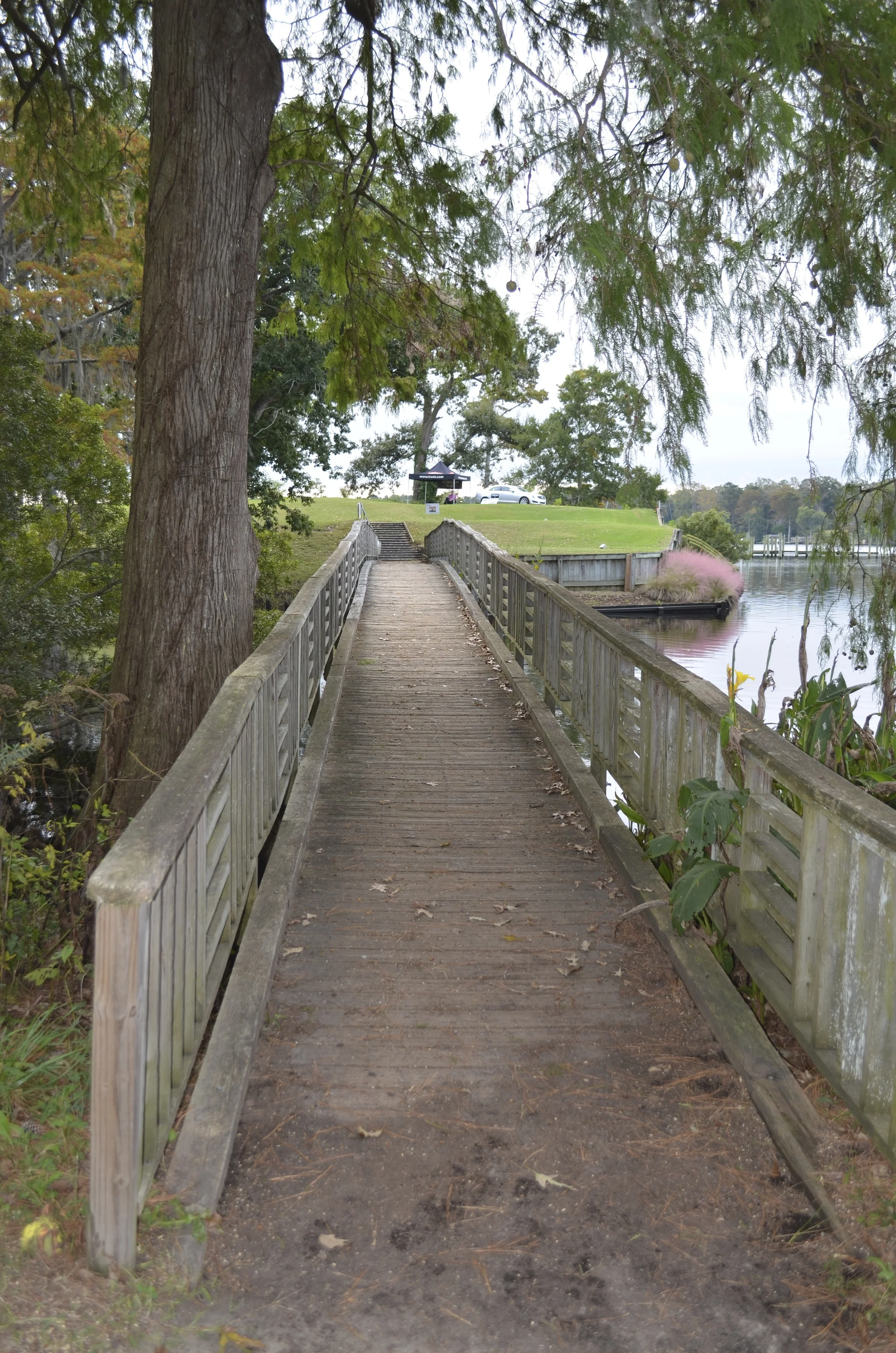 Bridge to 17th Green & 18th Tee