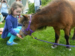 Rescue+Horse-Cover+Girl.jpg