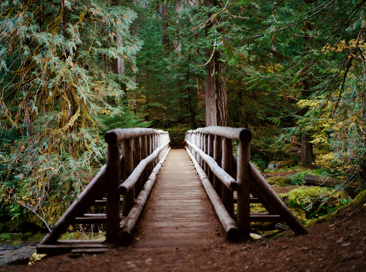 Bridge to Bagby Hot Springs, Mount Hood, OR , 2011, Pigment print