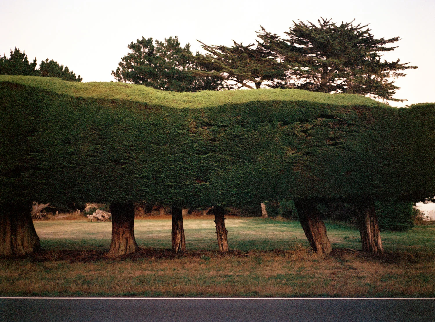 Along Route 1, CA , 2011, Pigment print