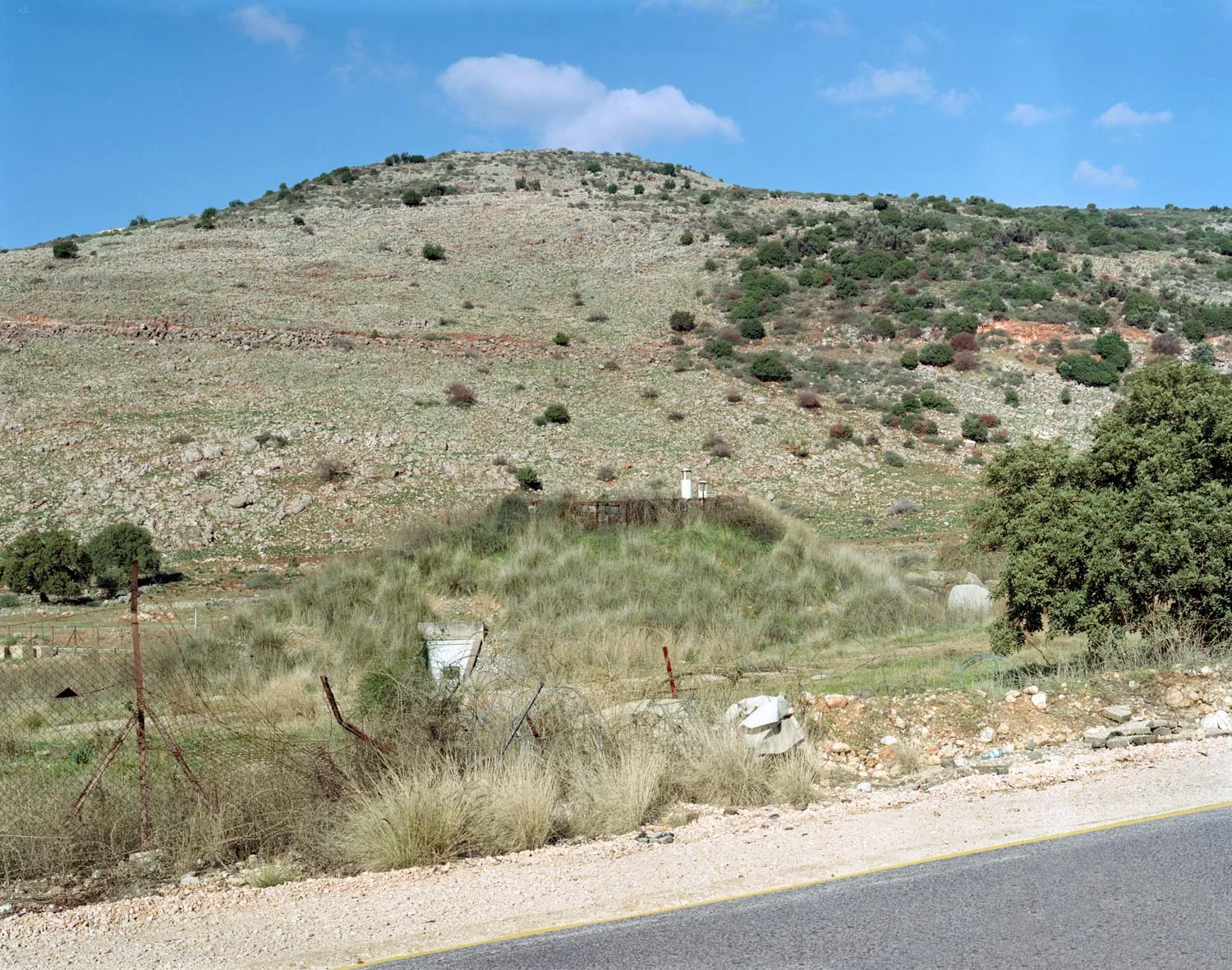 Golan Heights, Israel, 2007, Chromogenic print, 20" x 30"