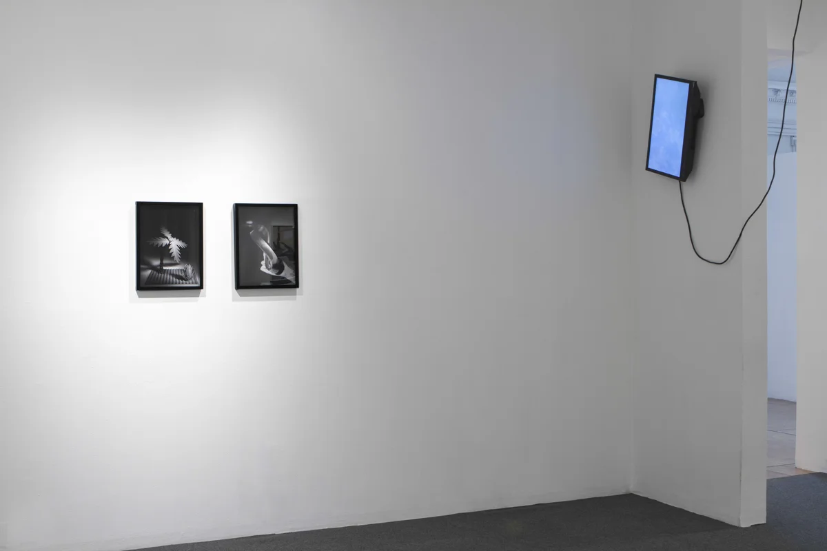 We Buy Gold, Home Movies, and Other Pictures , Exhibition view, International Center of Photography-Bard MFA Studios, 2015