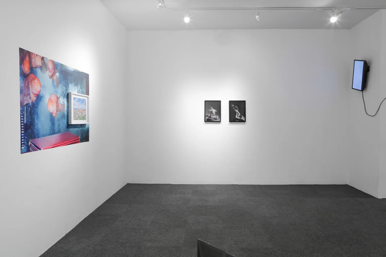 Daniel Terna, We Buy Gold, Home Movies, and Other Pictures , exhibition view, ICP-Bard MFA Studios, Long Island City, NY