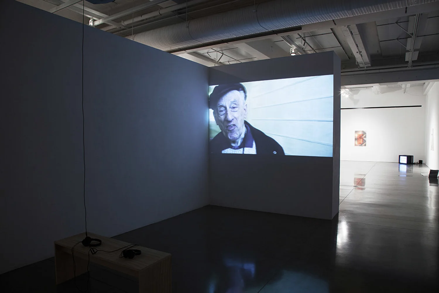 My First Wife Stella, Exhibition view, Compassion Fatigue , New Wight Biennial, UCLA New Wight Gallery, Los Angeles, 2014