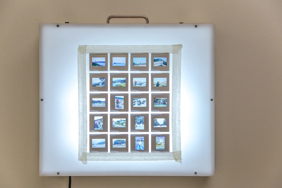 My First Wife Stella, Exhibition View, BRIC Biennial , BRIC Arts Media, Brooklyn, 2014