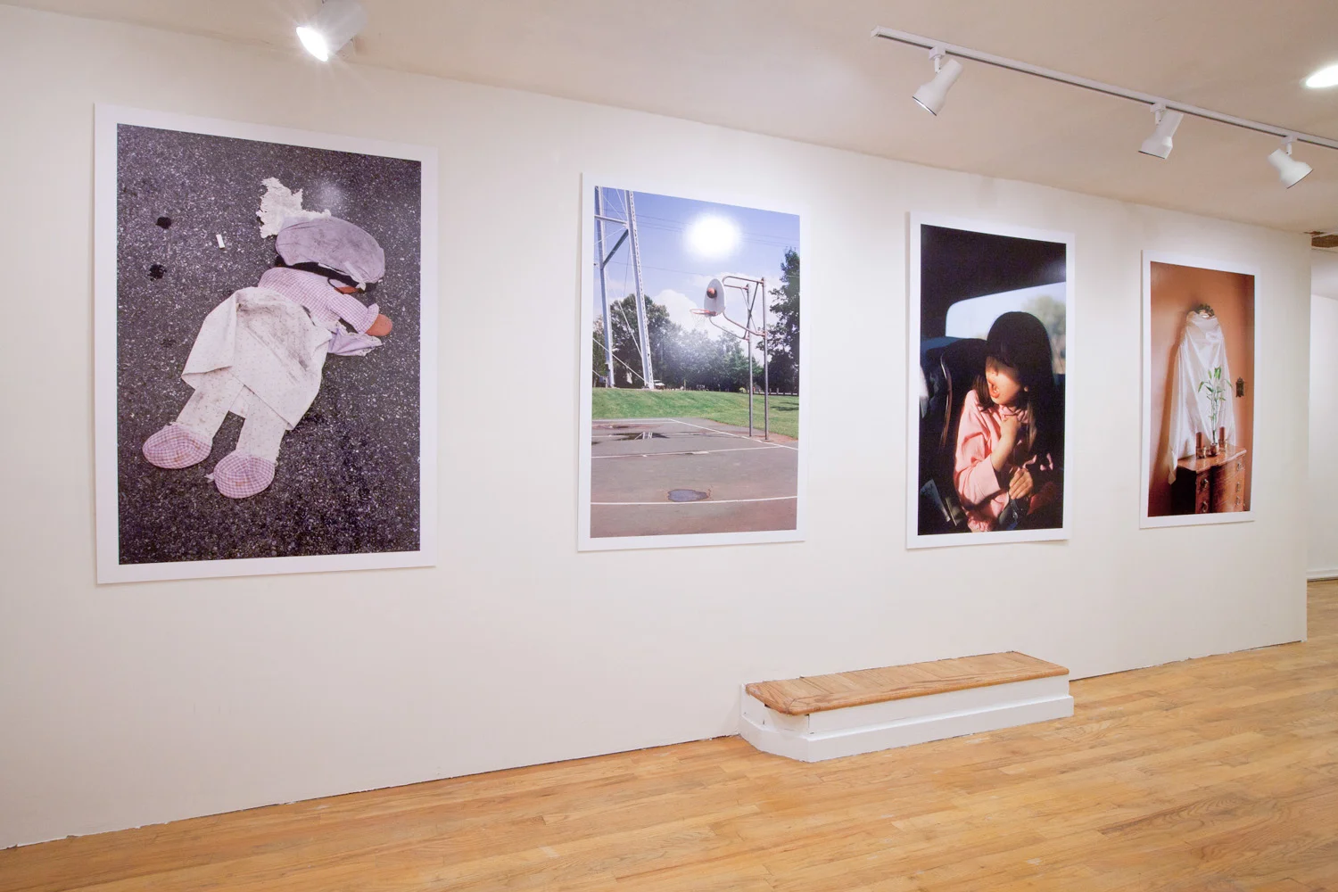 Shadowline , Exhibition View, 321 Gallery, Brooklyn, 2012