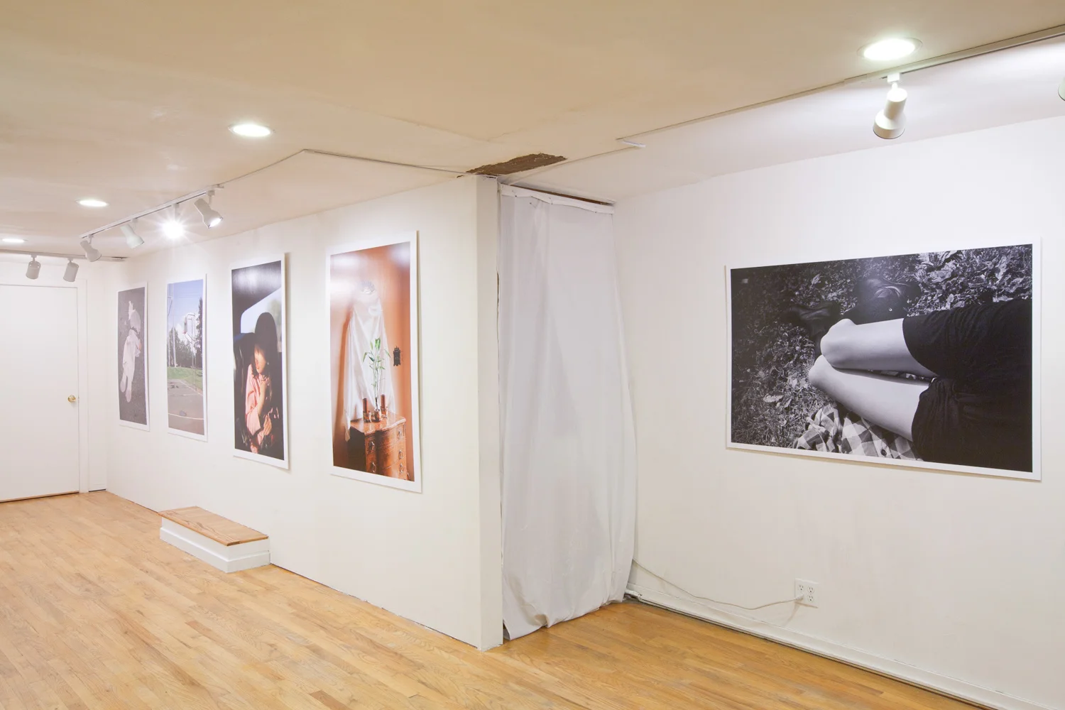 Shadowline , Exhibition View, 321 Gallery, Brooklyn, 2012