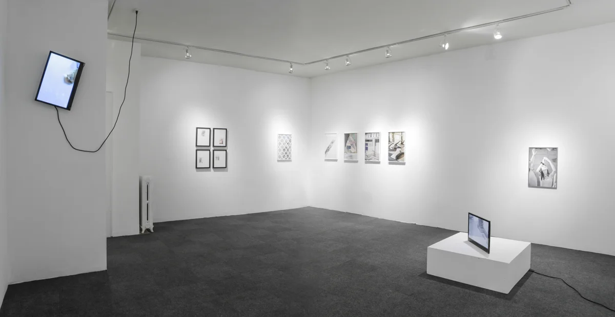 We Buy Gold, Home Movies, and Other Pictures , Exhibition view, International Center of Photography-Bard MFA Studios, 2015