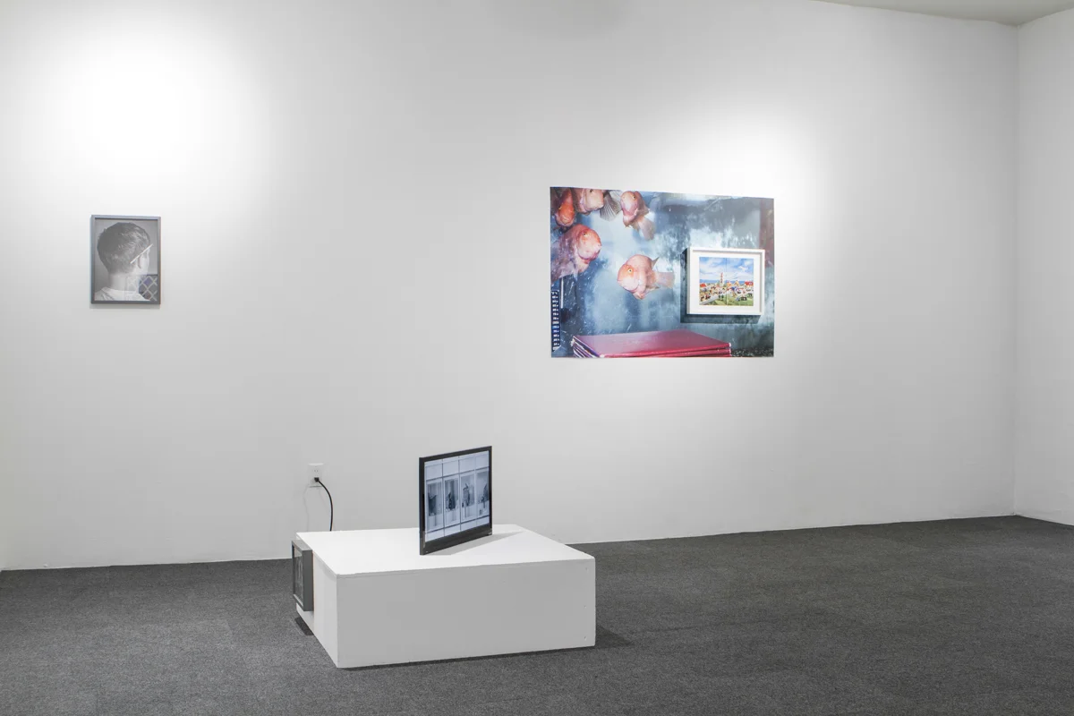 We Buy Gold, Home Movies, and Other Pictures , Exhibition view, International Center of Photography-Bard MFA Studios, 2015
