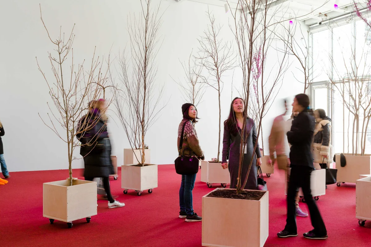 Whitney Biennial for frieze , Issue 187, March 2017