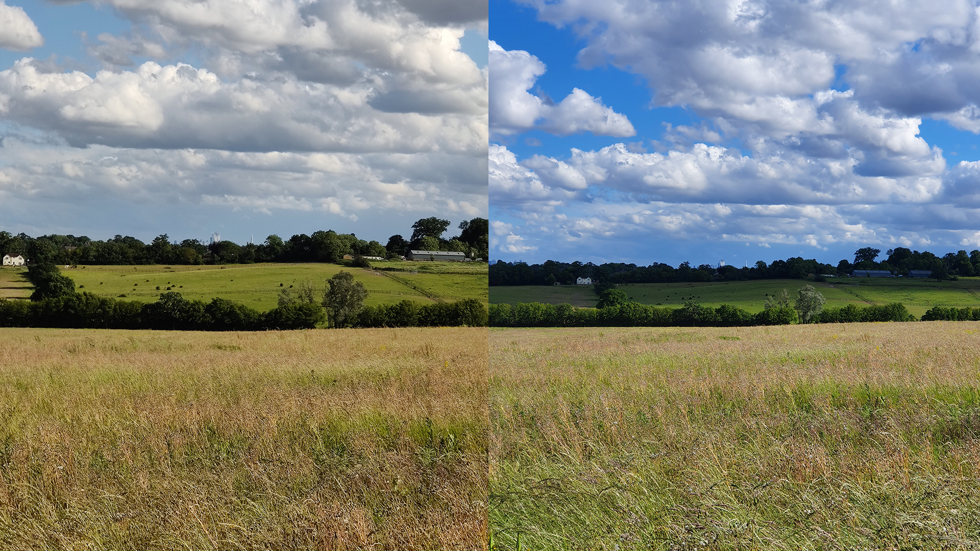 zoom test 2.jpg