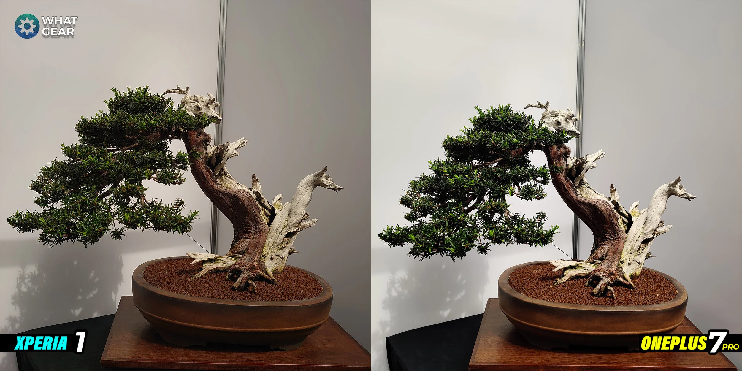 sony xperia 1 vs oneplus 7 pro camera 15.jpg
