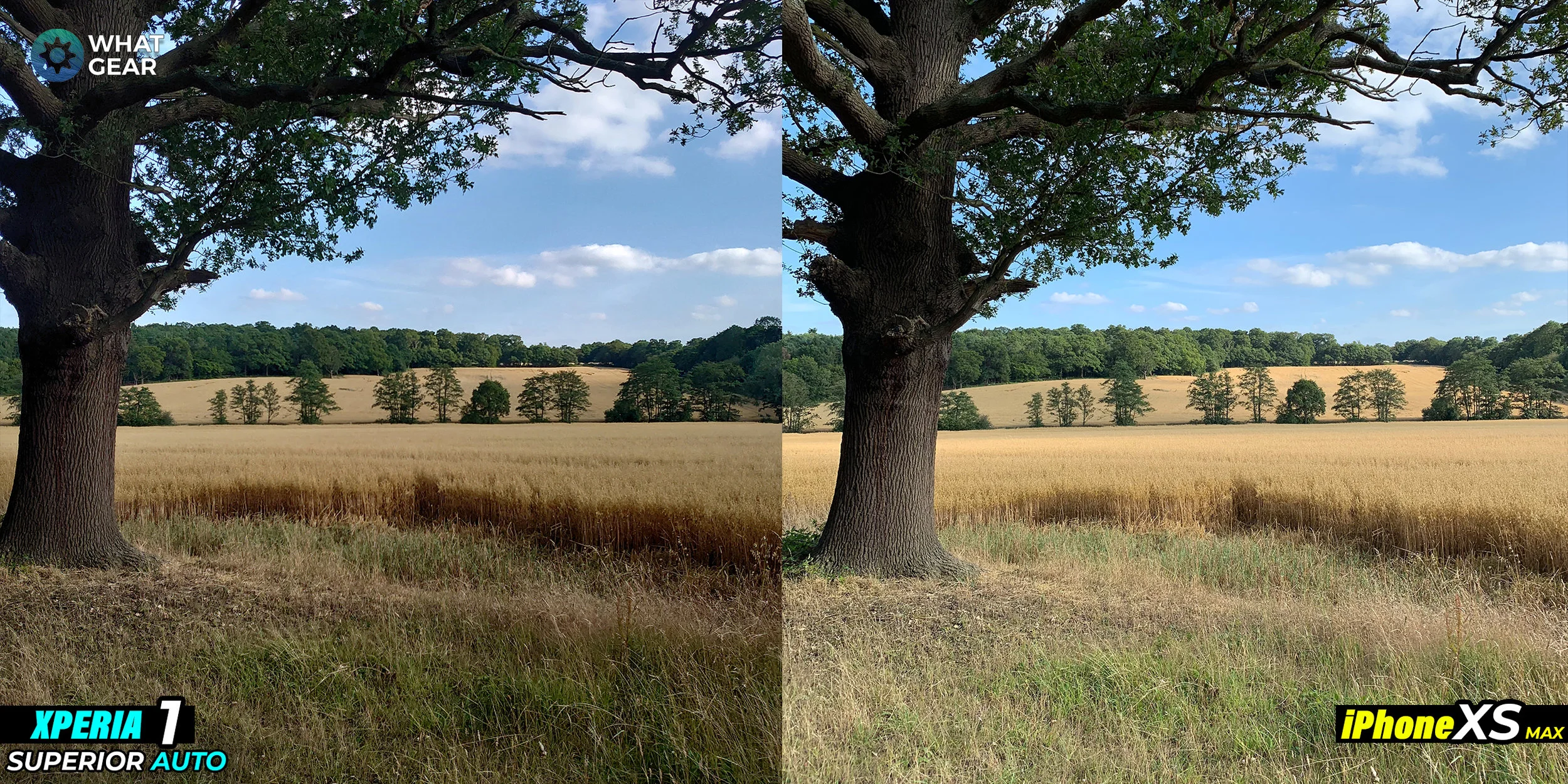 xperia 1 vs iphone xs camera 1.jpg