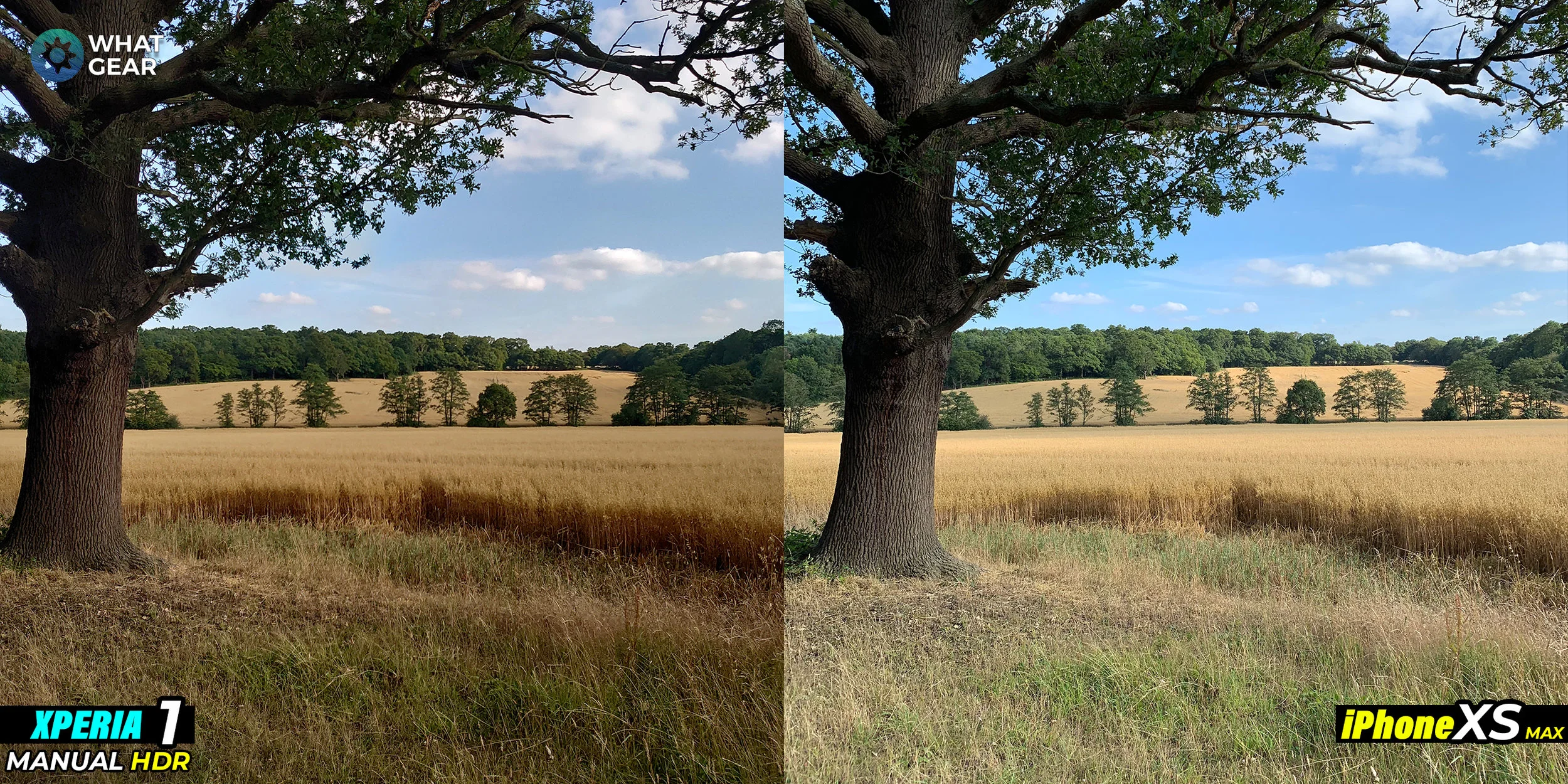 xperia 1 vs iphone xs camera 2.jpg