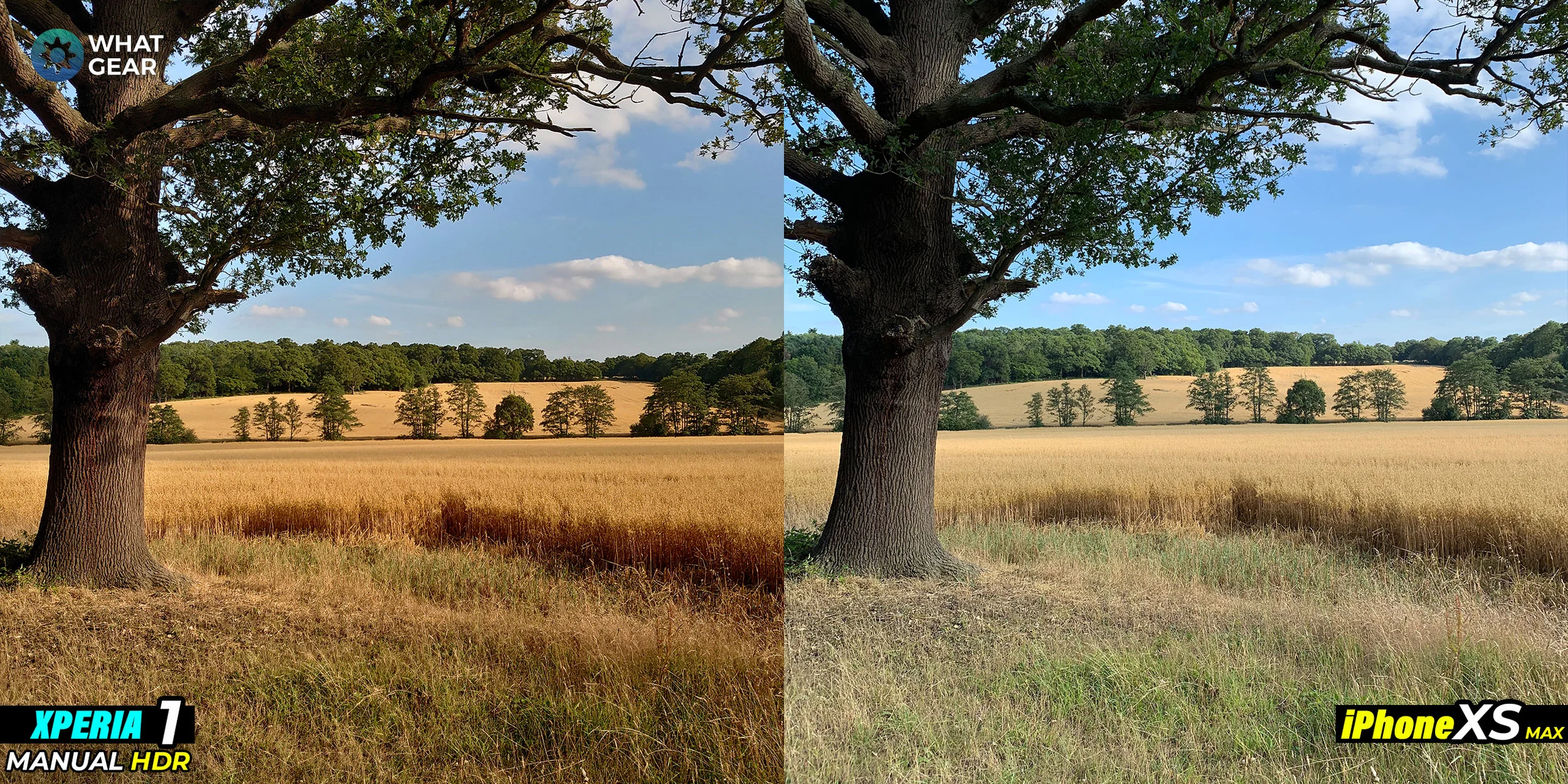 xperia 1 vs iphone xs camera 3.jpg