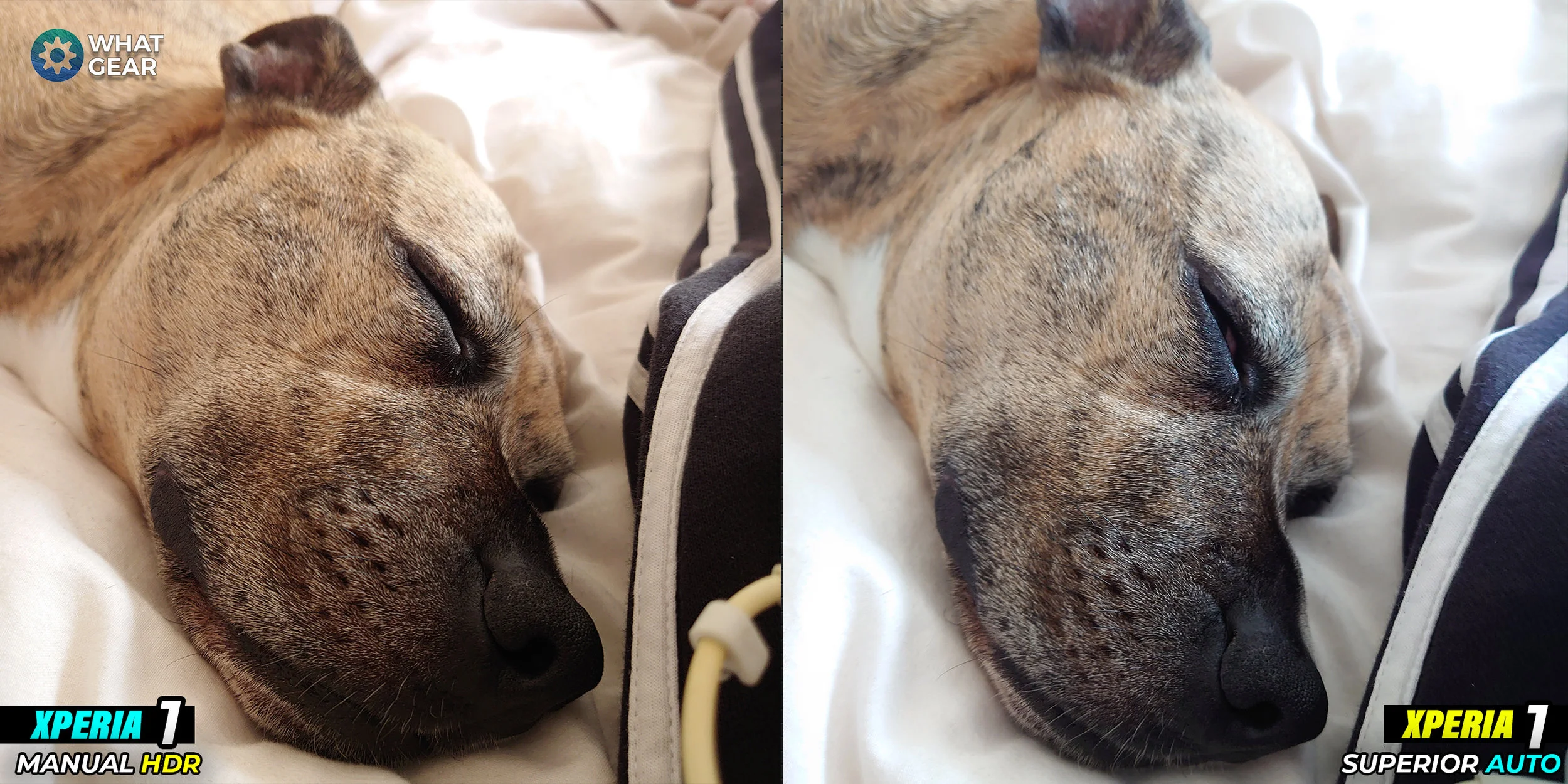 xperia 1 HDR vs Xperia 7.jpg