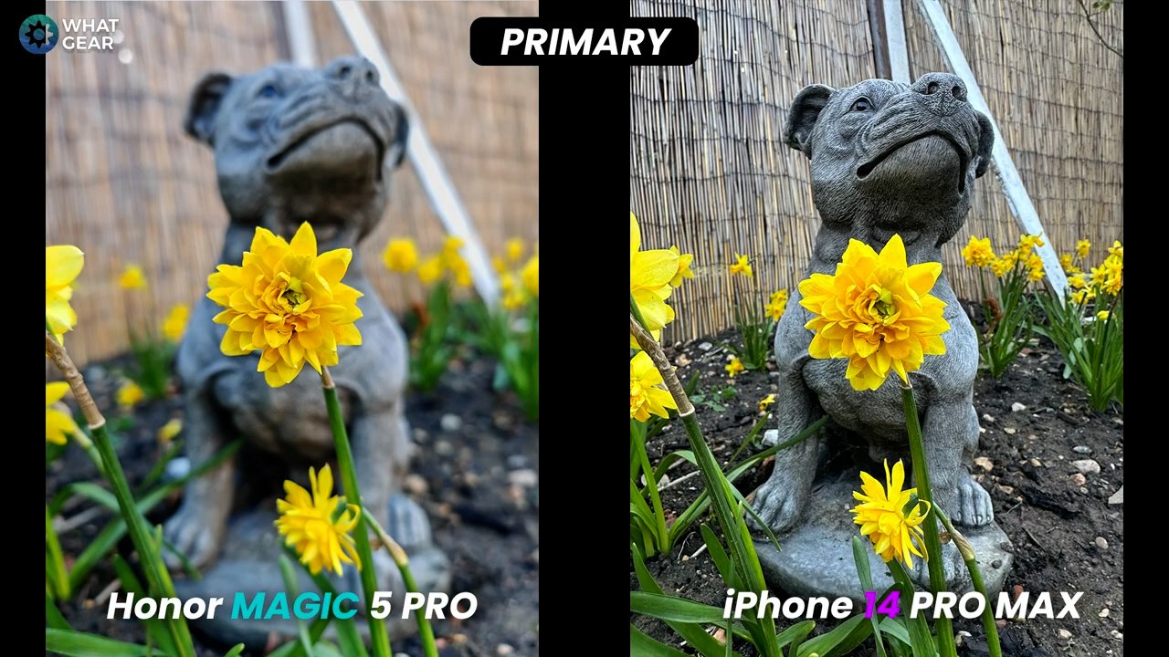 Honor Magic5 Pro Camera test