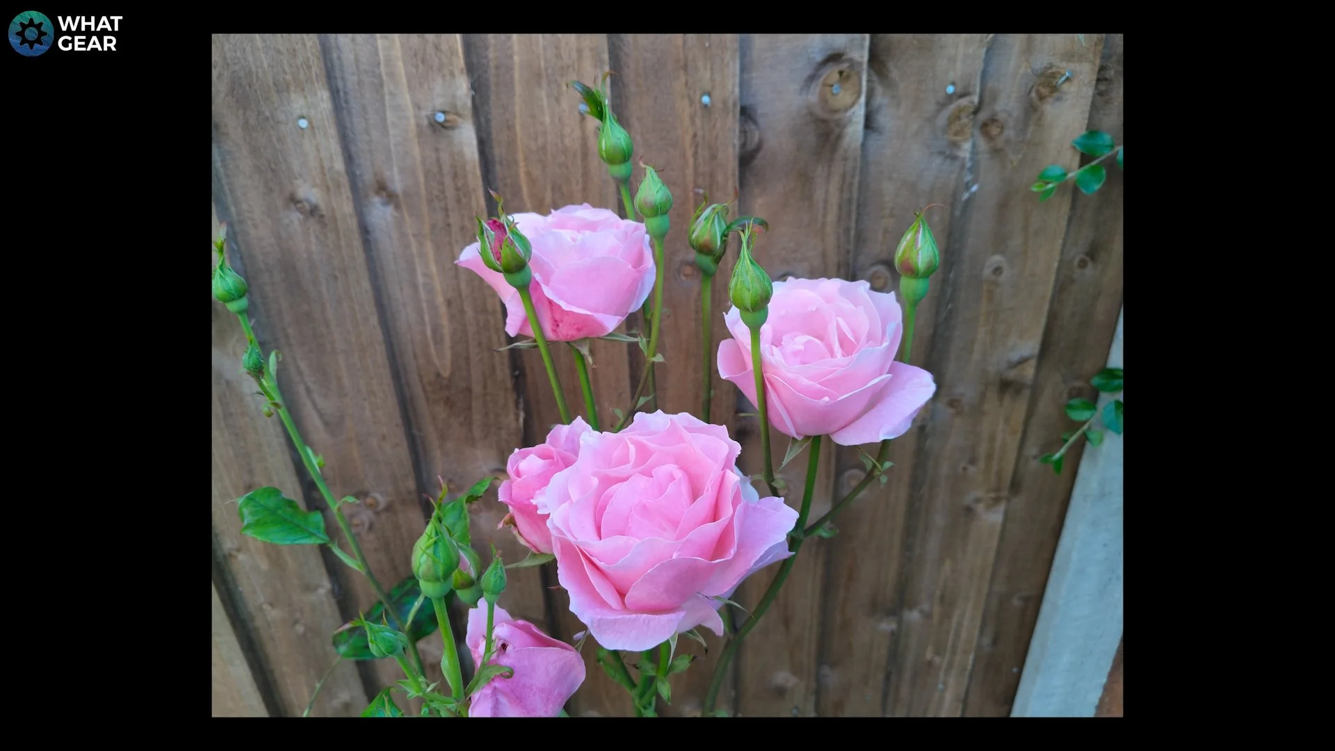 oneplus Nord CE4 Lite review camera sample 1.jpg