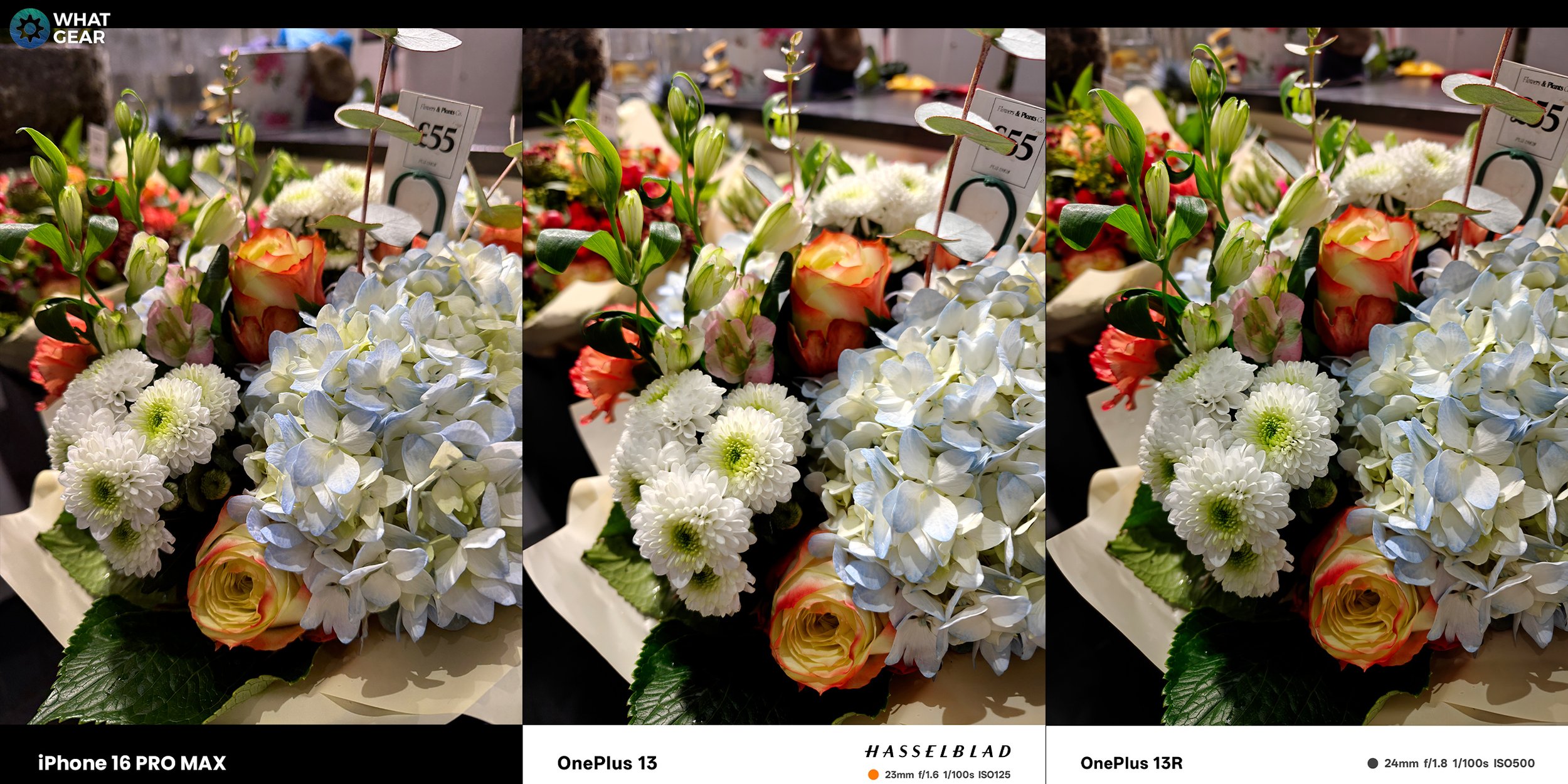 OnePlus 13 vs iPhone 16 Pro Max Camera 5 r.jpg